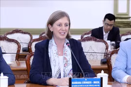 Promueve Ciudad Ho Chi Minh cooperación con estado austriaco