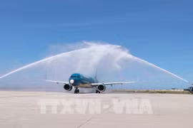 Vietnam Airlines emprende explotación de ruta Singapur-Nha Trang 