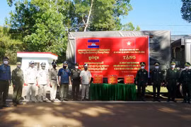 Provincia vietnamita apoya lucha antiepidémica en Camboya