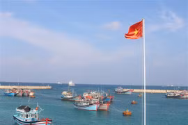 Delegación vietnamita en Ginebra recauda fondo para pobladores en Truong Sa