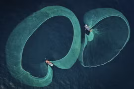 Fotógrafo vietnamita gana el premio sobre conservación marina 2022