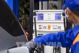 Precios de gasolina se reducen nuevamente en Vietnam