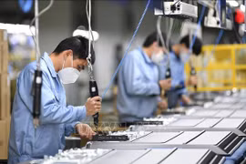 Vietnam obtiene resultados significativos en desarrollo de economía de mercado