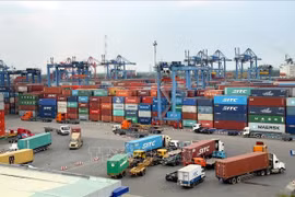 FMI resalta perspectivas de crecimiento económico de Vietnam