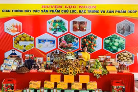 Provincia vietnamita de Bac Giang promueve consumo y exportación de lichi 