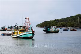 Provincia de Kien Giang se centra en proyectos clave de desarrollo