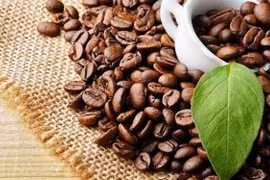 Aumentan oportunidades de exportación de café vietnamita a Estados Unidos 