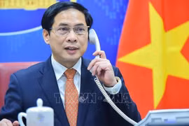 Vietnam concede importancia a las relaciones de amistad tradicional con Austria 