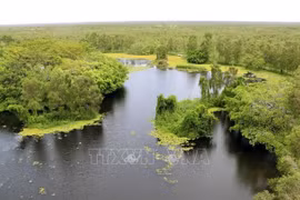 Parque nacional U Minh Thuong, destino de ecoturismo hospitalario en Vietnam