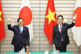 Japón y Vietnam disponen de gran potencial para cooperación 