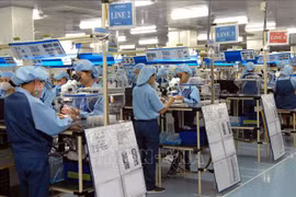 Economía de Vietnam se acelerará este año, según experta de PNUD
