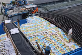 Ofrecen consultas para exportar productos vietnamitas a Laos y Tailandia 