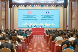 Empresas vietnamitas y laosianas trabajan para acelerar proyectos de cooperación estratégica