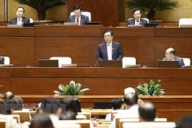 Parlamento vietnamita continúa sesiones de interpelación 