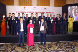 Vietnam e India buscan despertar potencial de cooperación en comercio e inversión