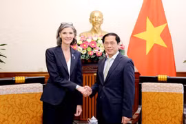 Canciller vietnamita se reúne con representante del PNUD en Vietnam