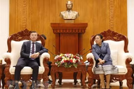 Delegación de Auditoría Estatal de Vietnam continúa actividades de trabajo en Laos