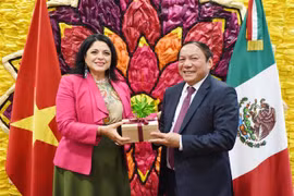 Vietnam reitera papel de cultura para el desarrollo sostenible