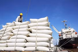 Consolida Filipinas papel como mayor importador de arroz vietnamita