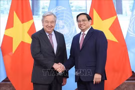 Vietnam exhorta el mayor apoyo de la ONU para el desarrollo nacional