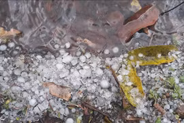 Granizo provoca pérdidas materiales en provincia montañosa vietnamita