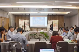 Provincia vietnamita por convertirse en destino amigable con elefantes