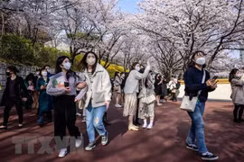 Corea del Sur organiza diversas actividades de atracción de turistas vietnamitas 