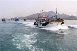 Provincia vietnamita de Tien Giang trabaja contra la pesca ilegal