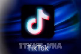 Eliminan 2,4 millones de videos de TikTok de usuarios vietnamitas con contenidos inapropiados 