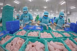 Perspectivas para aumentar las exportaciones vietnamitas de pescado Tra