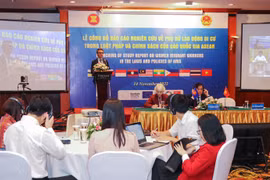 Vietnam brinda asistencia a trabajadoras migrantes