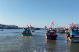 Provincia vietnamita de Ba Ria-Vung Tau refuerza lucha contra pesca ilegal