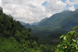 Laos apunta a aumentar la cobertura forestal al 70 por ciento para 2035
