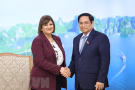 Primer ministro de Vietnam recibe a embajadores de Egipto y Mongolia