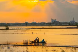 Despliegan proyecto de gestión de recursos naturales en Delta del Mekong 