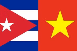Asociación de Amistad Vietnam-Cuba en Nghe An ampliará su afiliación en nuevo
