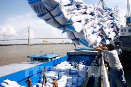 Destacan evaluaciones activas de organizaciones internacionales sobre economía de Vietnam