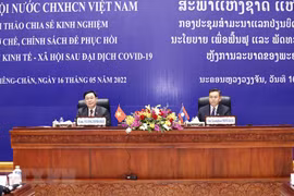 Vietnam y Laos intercambian experiencias en recuperación posCOVID-19