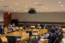 Vietnam copreside consulta sobre proyecto de resolución de ONU contra epidemias
