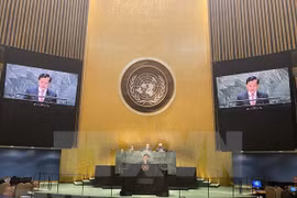 ONU saluda compromisos vietnamitas para combatir cambio climático