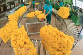 Crecen exportaciones de Vietnam a Australia en primer trimestre de 2022
