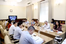 Cancillería de Vietnam establece comité directivo para protección ciudadana en exterior 