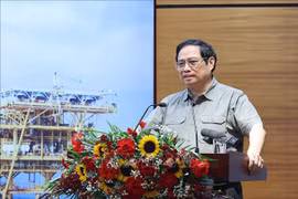 Primer ministro de Vietnam insta a PetroVietnam garantizar energía para el país 