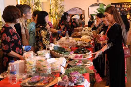 Participa Vietnam en Feria de Diplomacia de Sudáfrica 2022