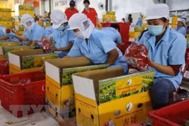 Promueven exportación de mercancías vietnamitas a Europa del Norte