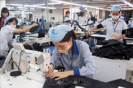 Provincia vietnamita de Dong Nai reporta superávit comercial