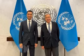 ONU otorga importancia a posición internacional de Vietnam, afirma embajador