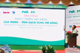 Desarrollan modelo "arroz fragante-camarón limpio" en la región del Mekong