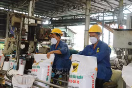 Exportaciones de fertilizantes de Vietnam registran nuevo récord