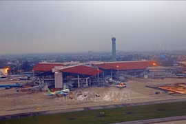Solicitan licencia comercial para primer transporte de carga aérea especializado en Vietnam
